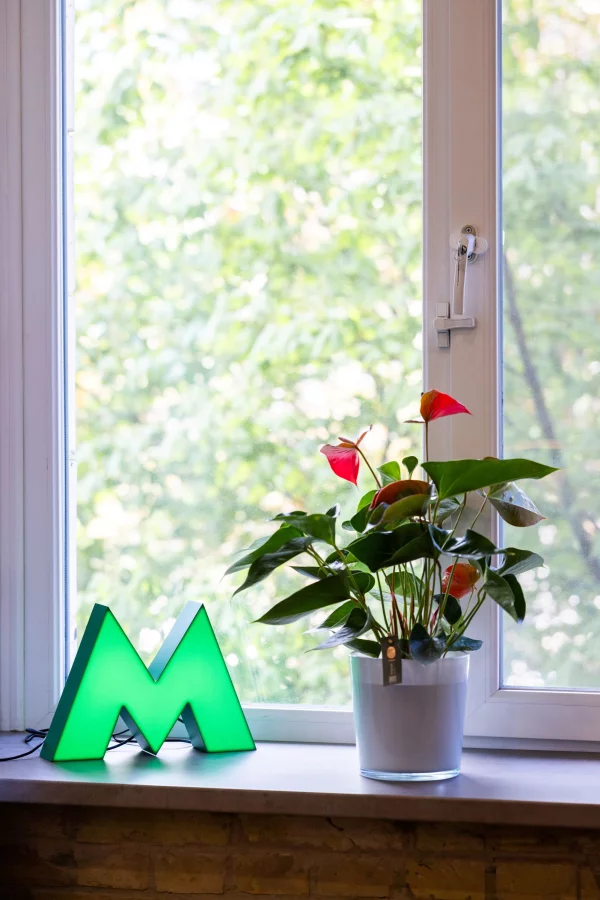 Апартаменти в центрі міста